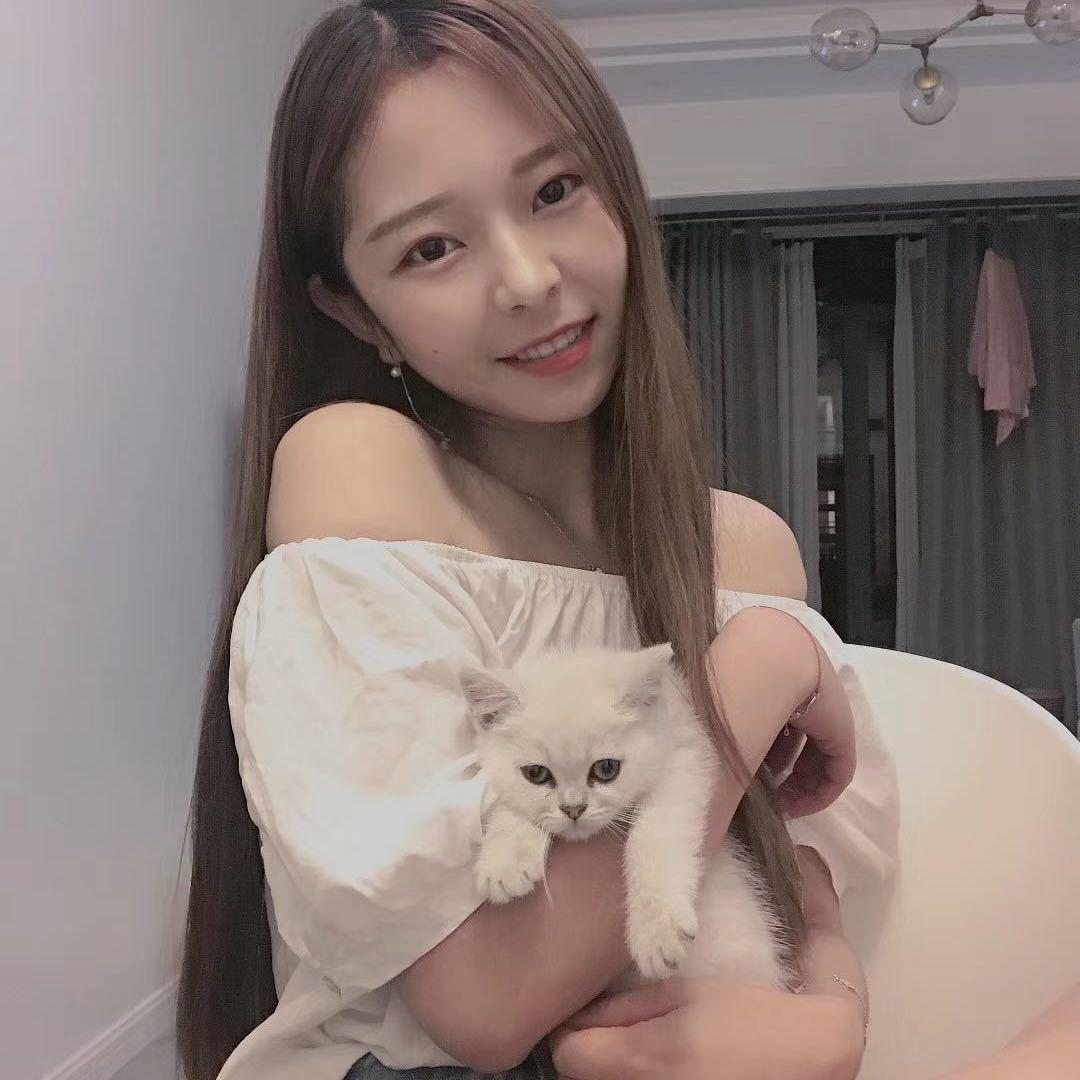 凡凡要自律阿✨