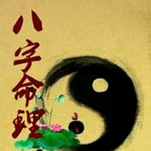 专业看蚂蚁相