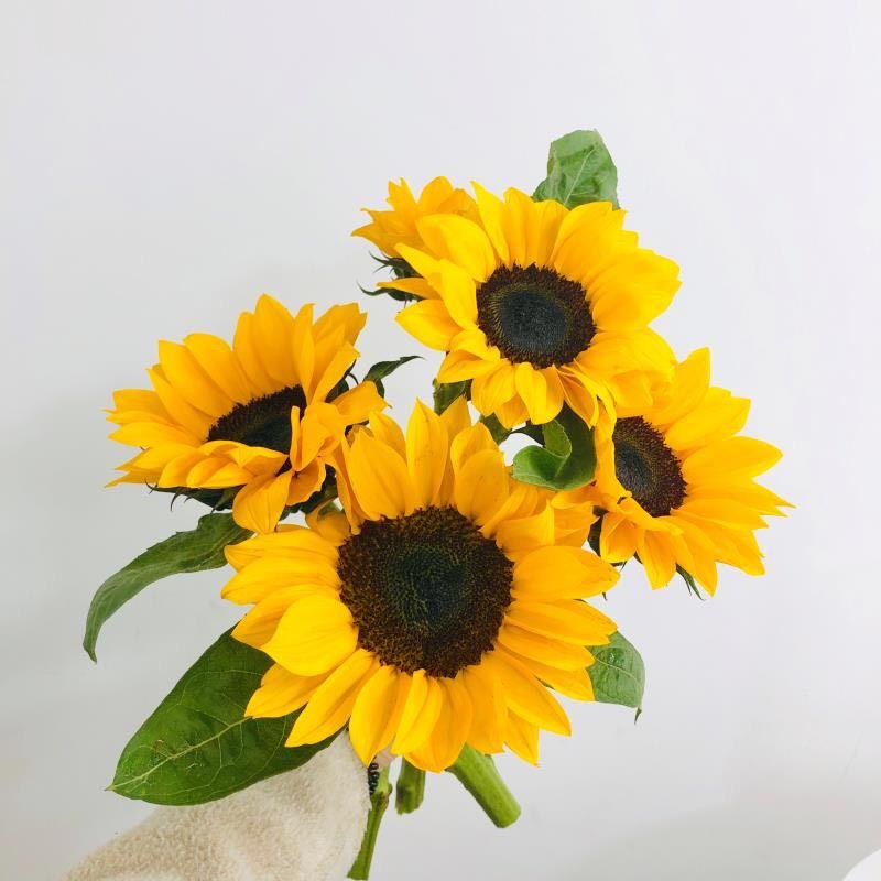 一木花坊