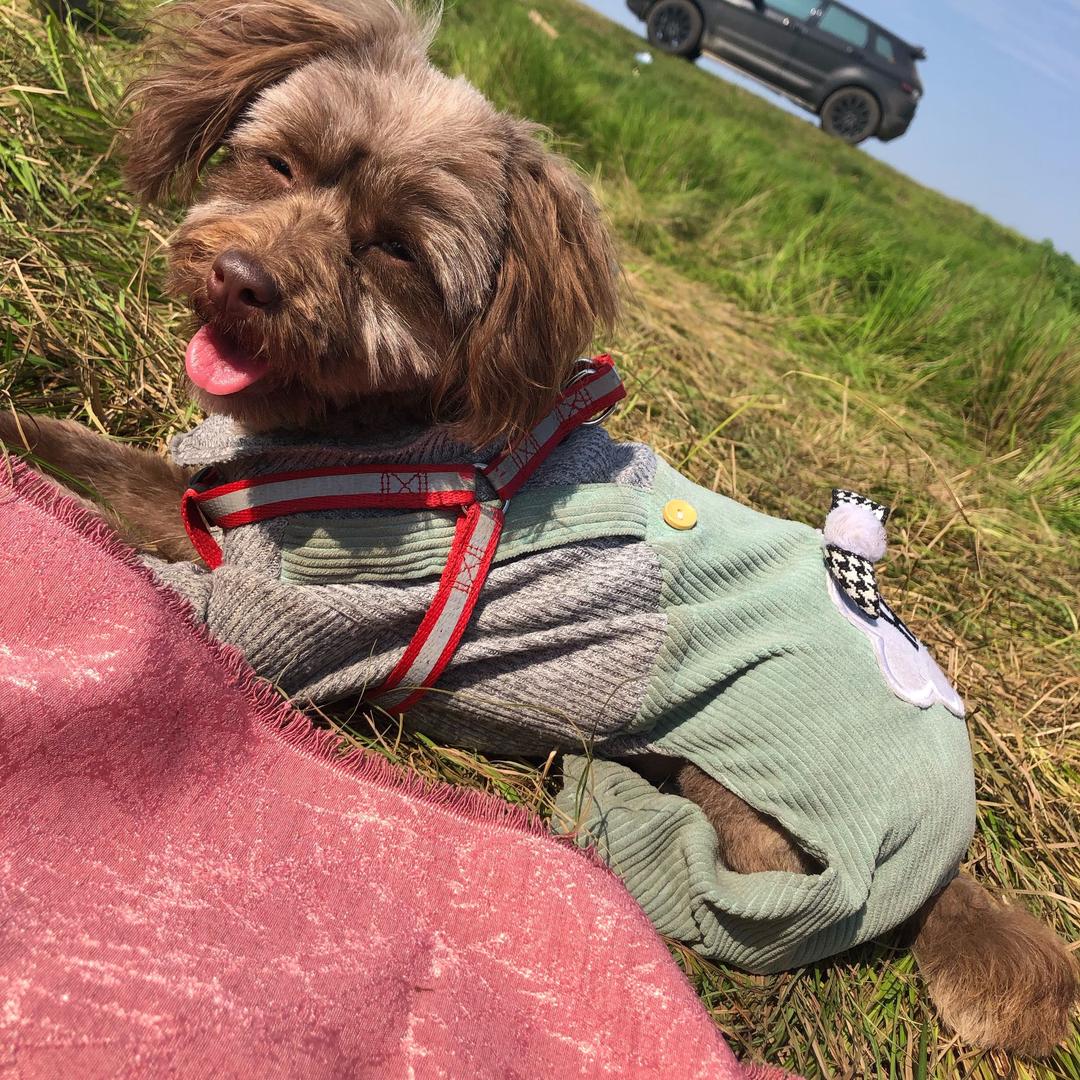 热心市民付女士