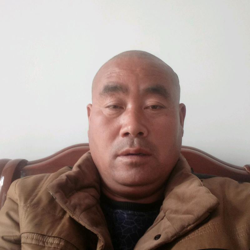 牛龙银