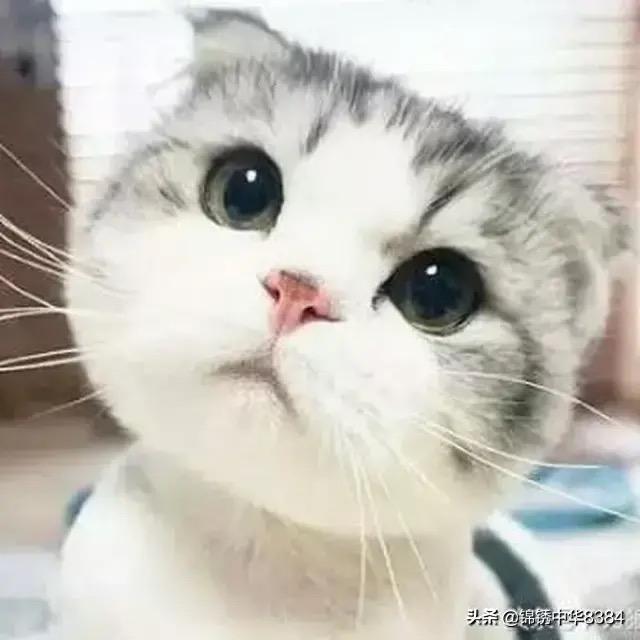 北探影音