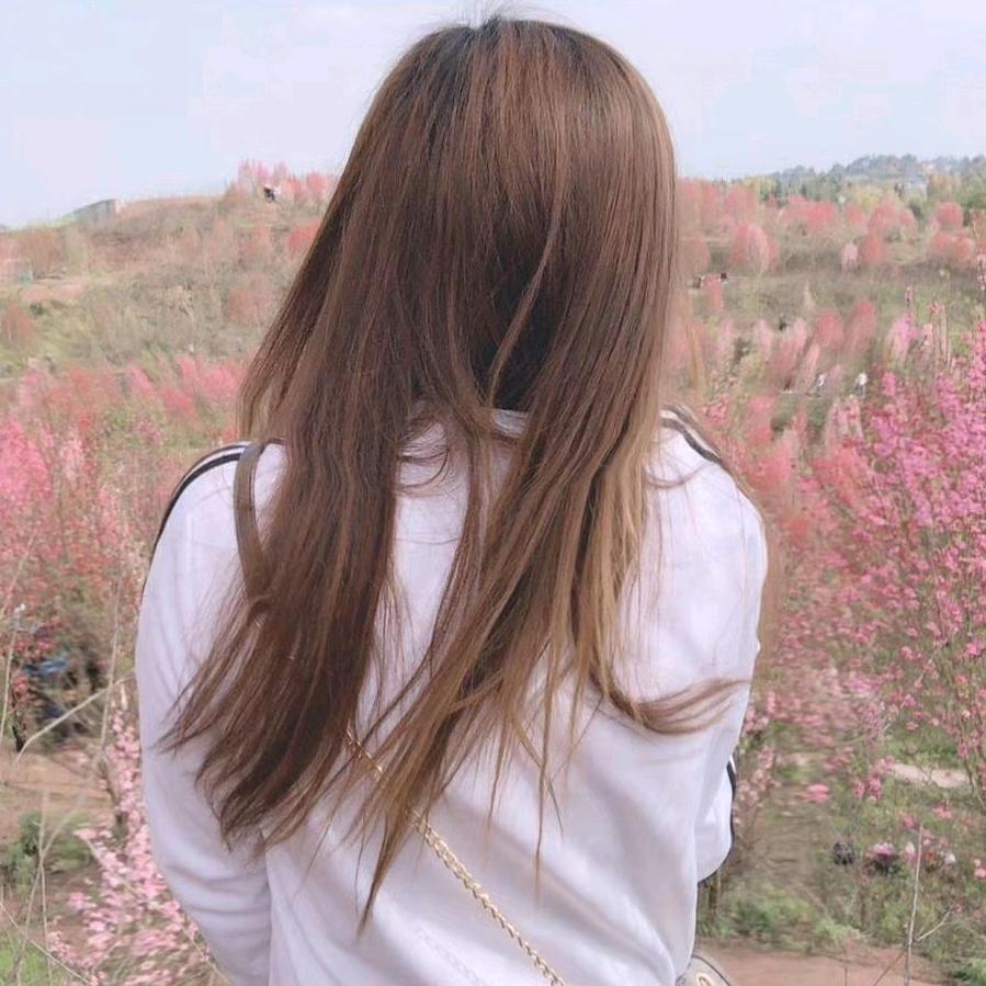 四妹(厨窗有好物)