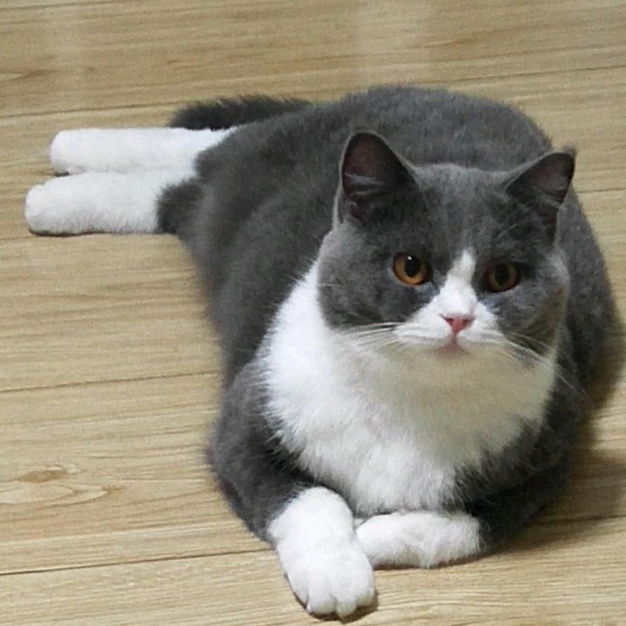 昕怡