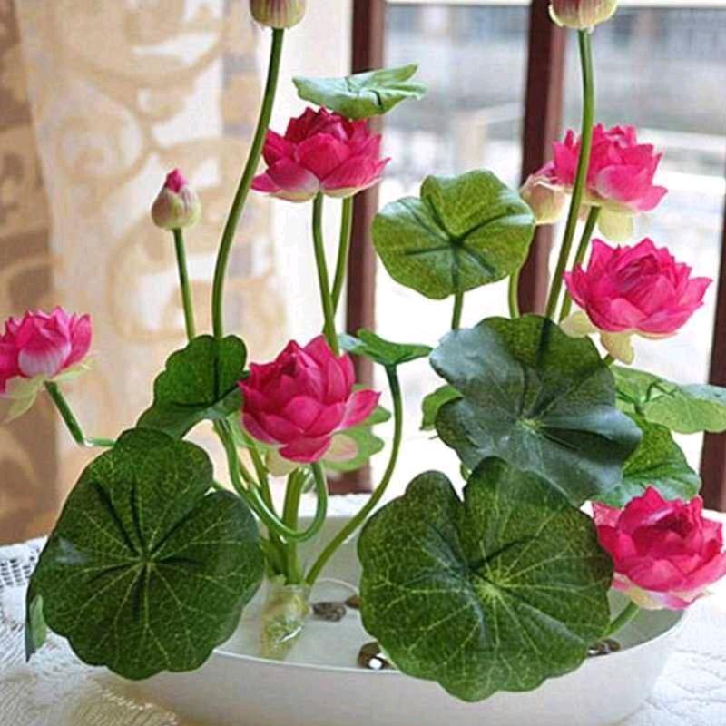 ♡♥(。´奇▽`缘。)♥♡