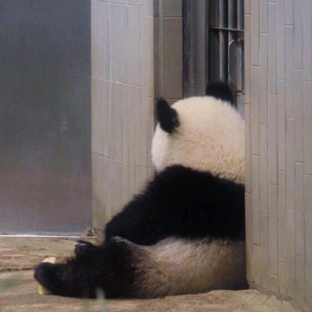 哦
