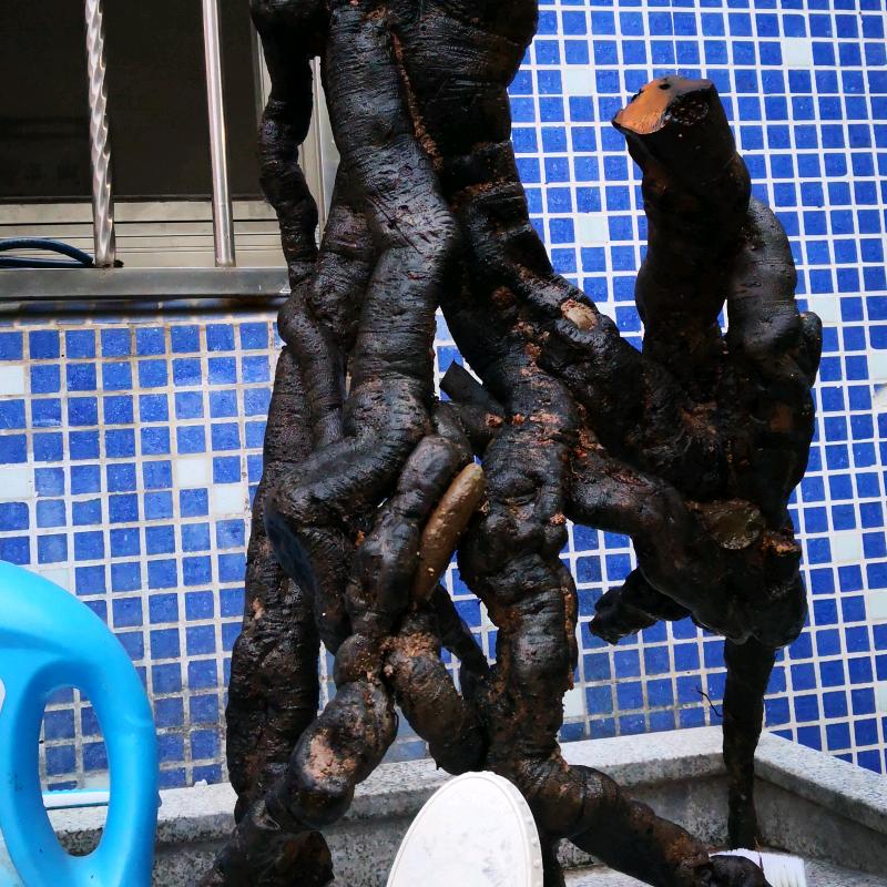 愿者上钩