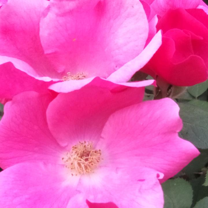 美好人生🌺