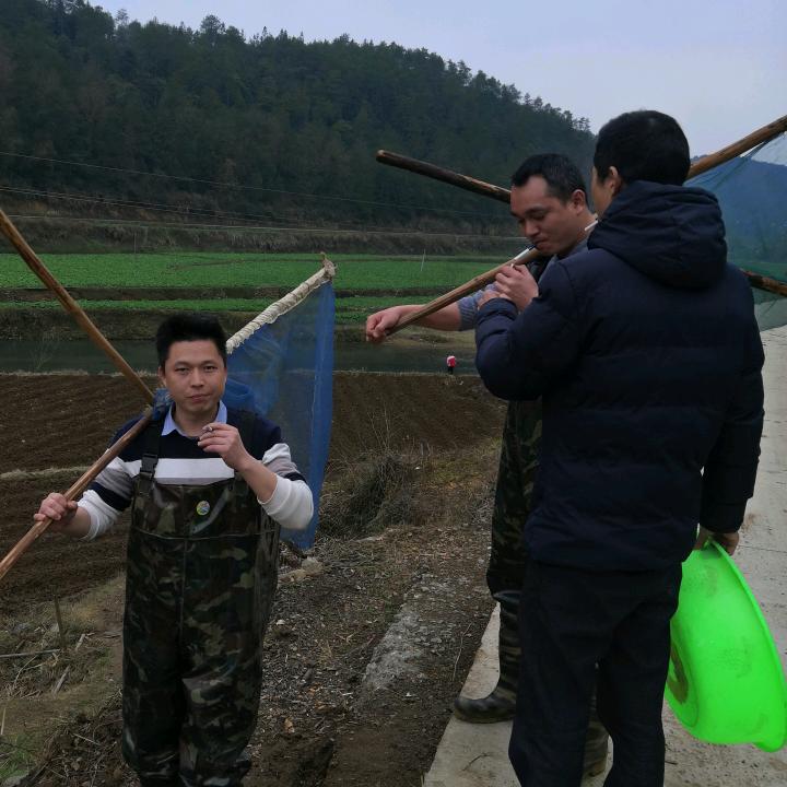 风雨何在