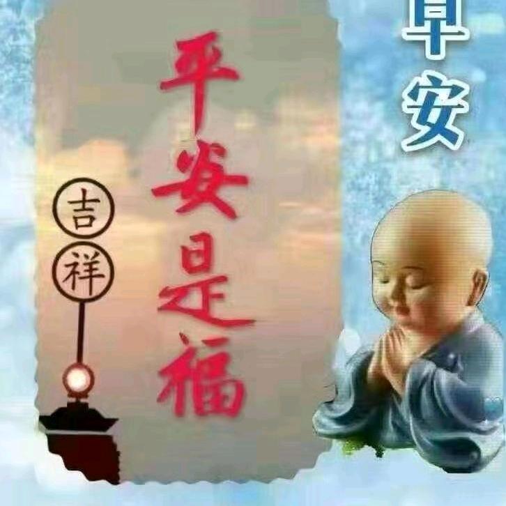 阳光灿烂&🌸