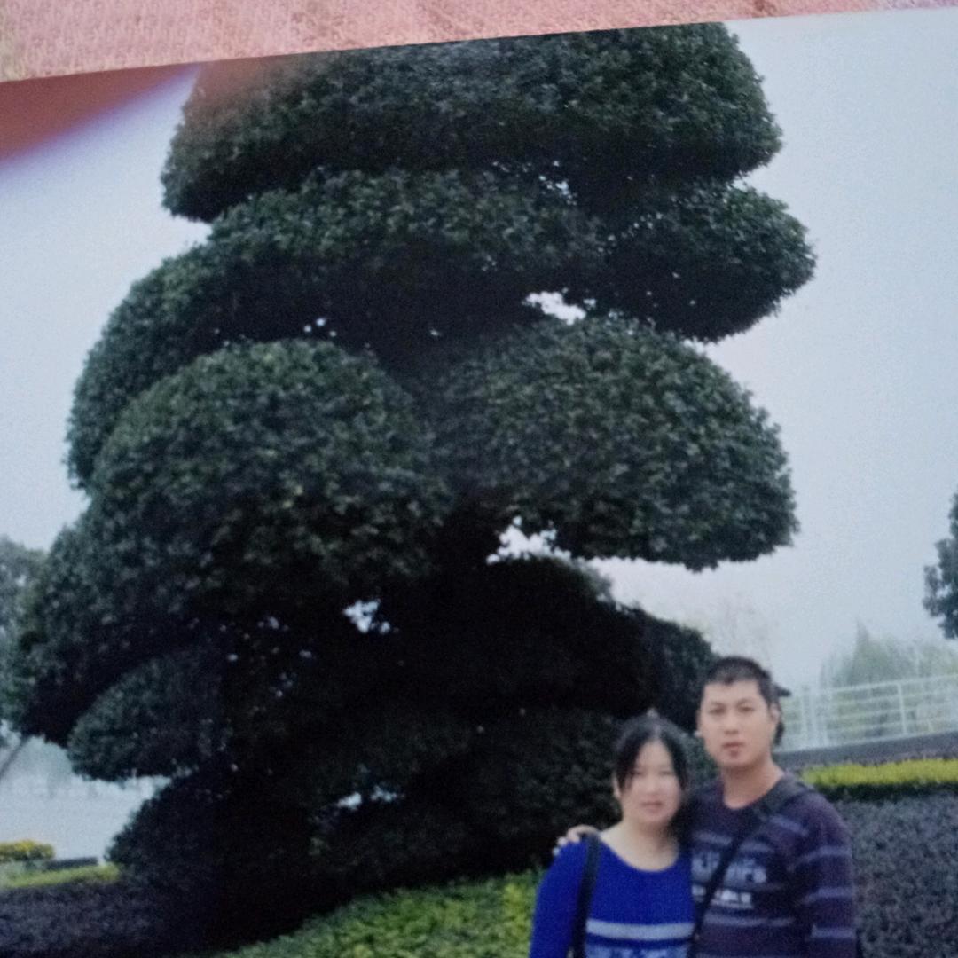 马教练（优优驾校）