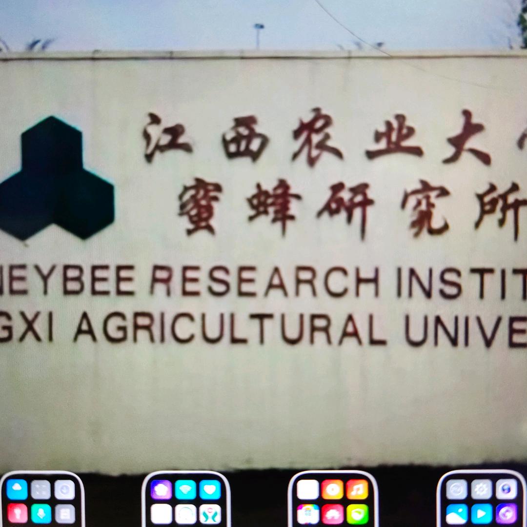 用户875442501391