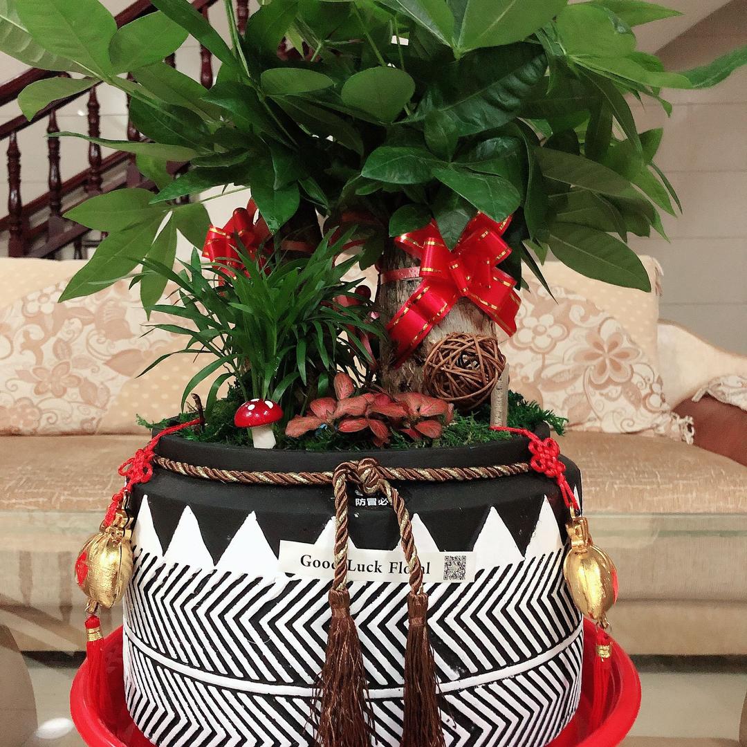 华霖（晋江文兴地毯）