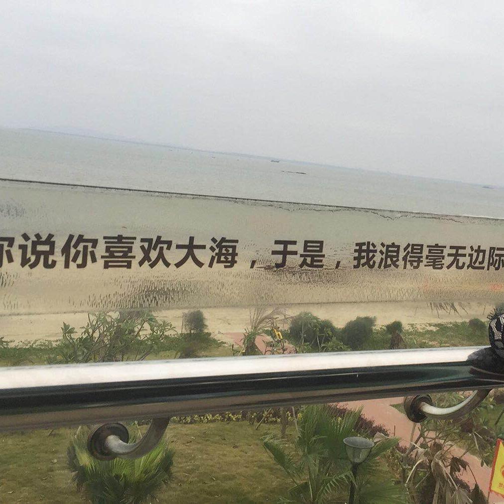 兽兽兽兽