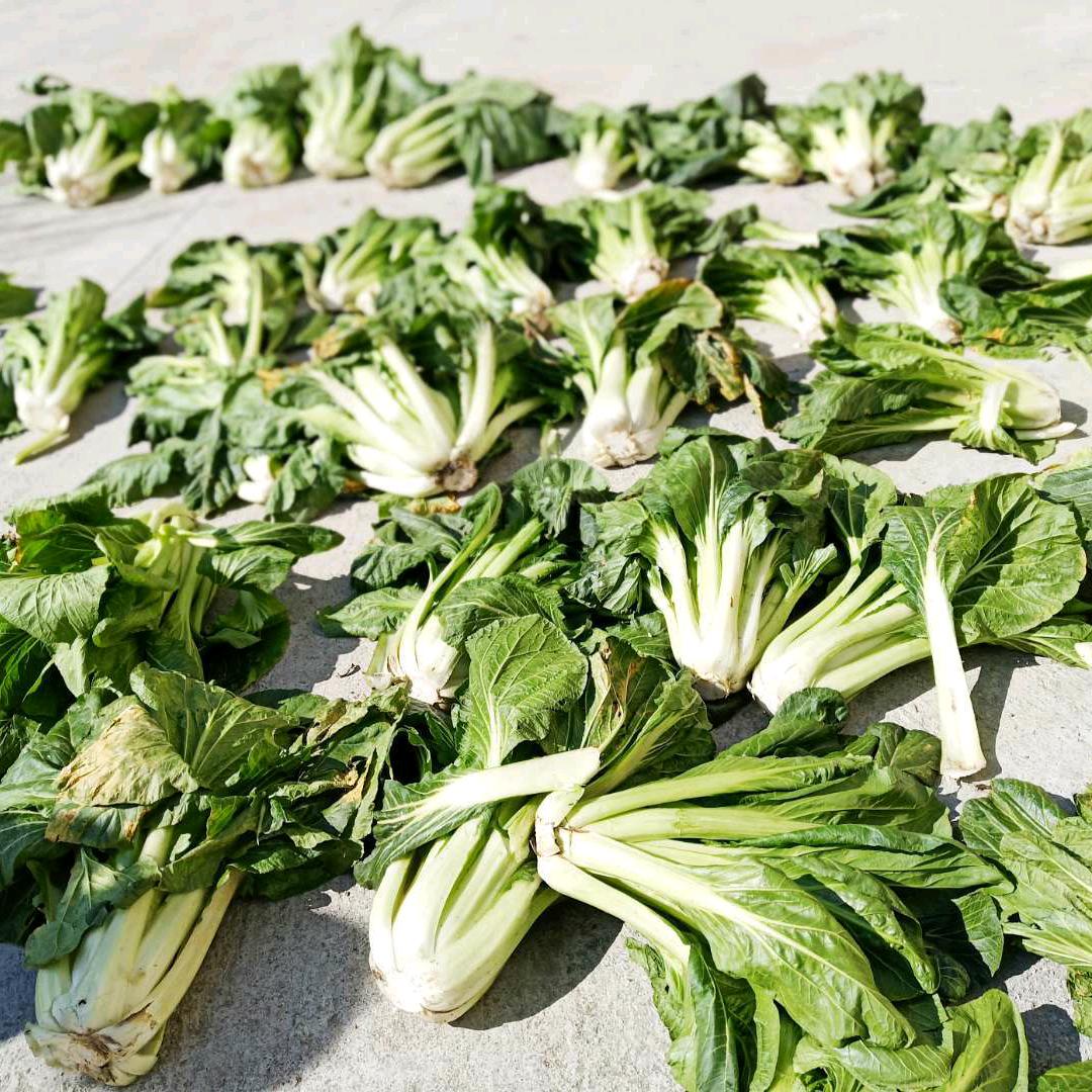 遂昌竹里农家乐(山里人）