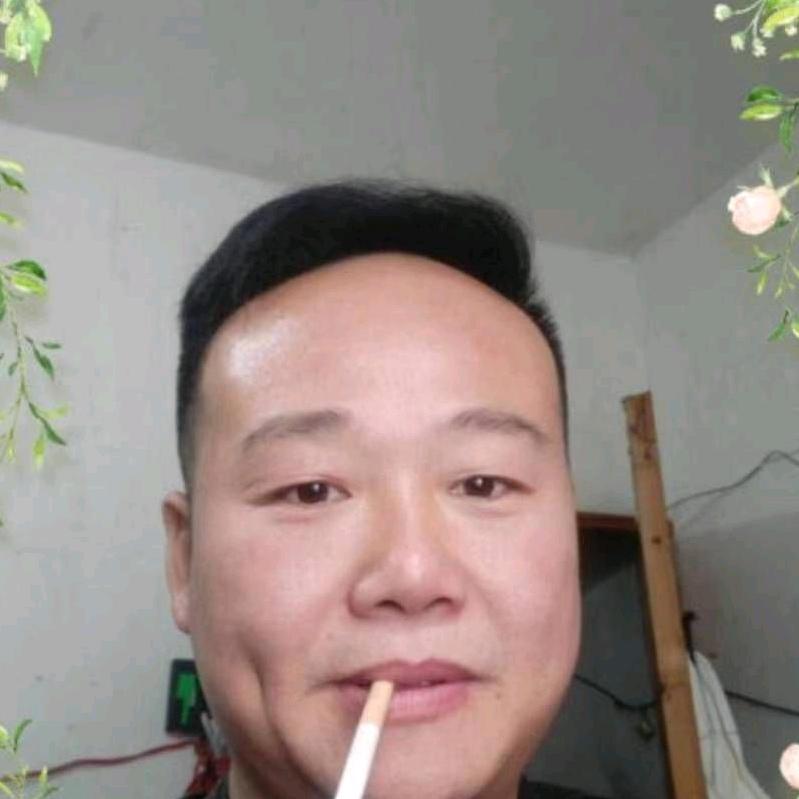 网红熊二