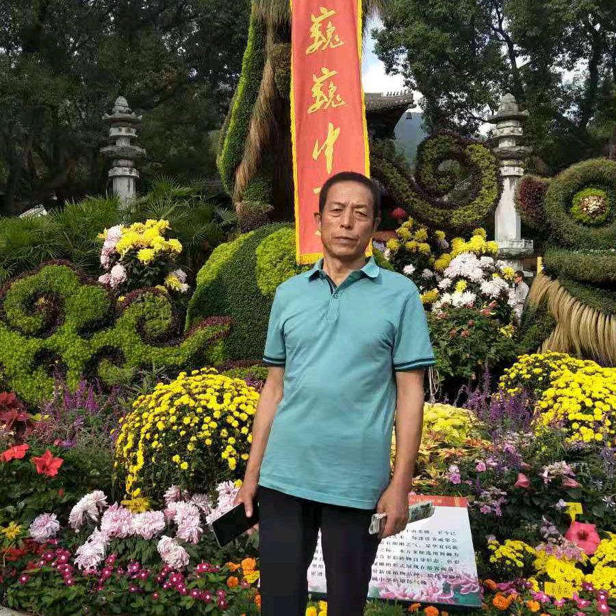 杨辉爷爷(每晚8点开播)