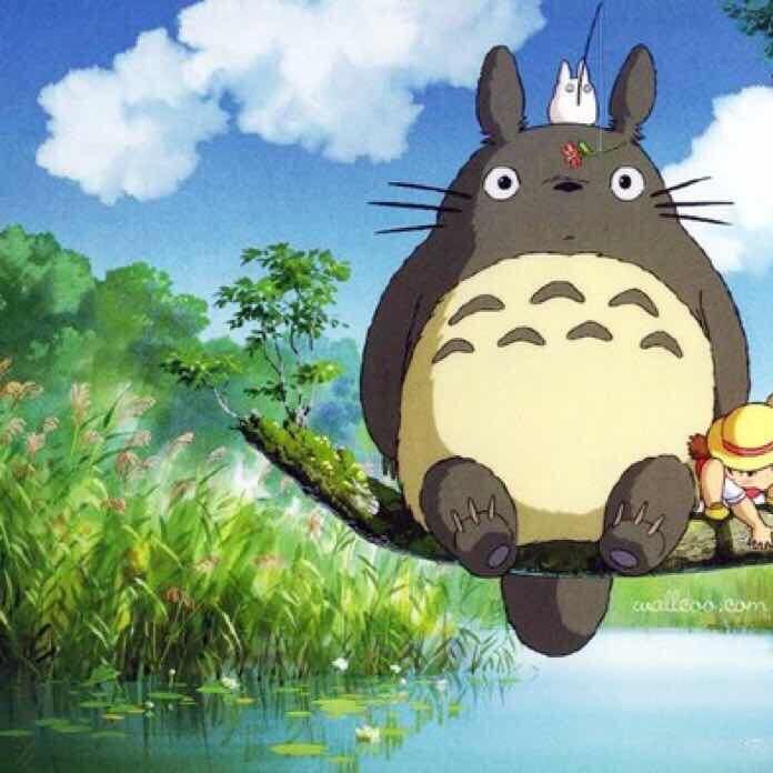 龙猫