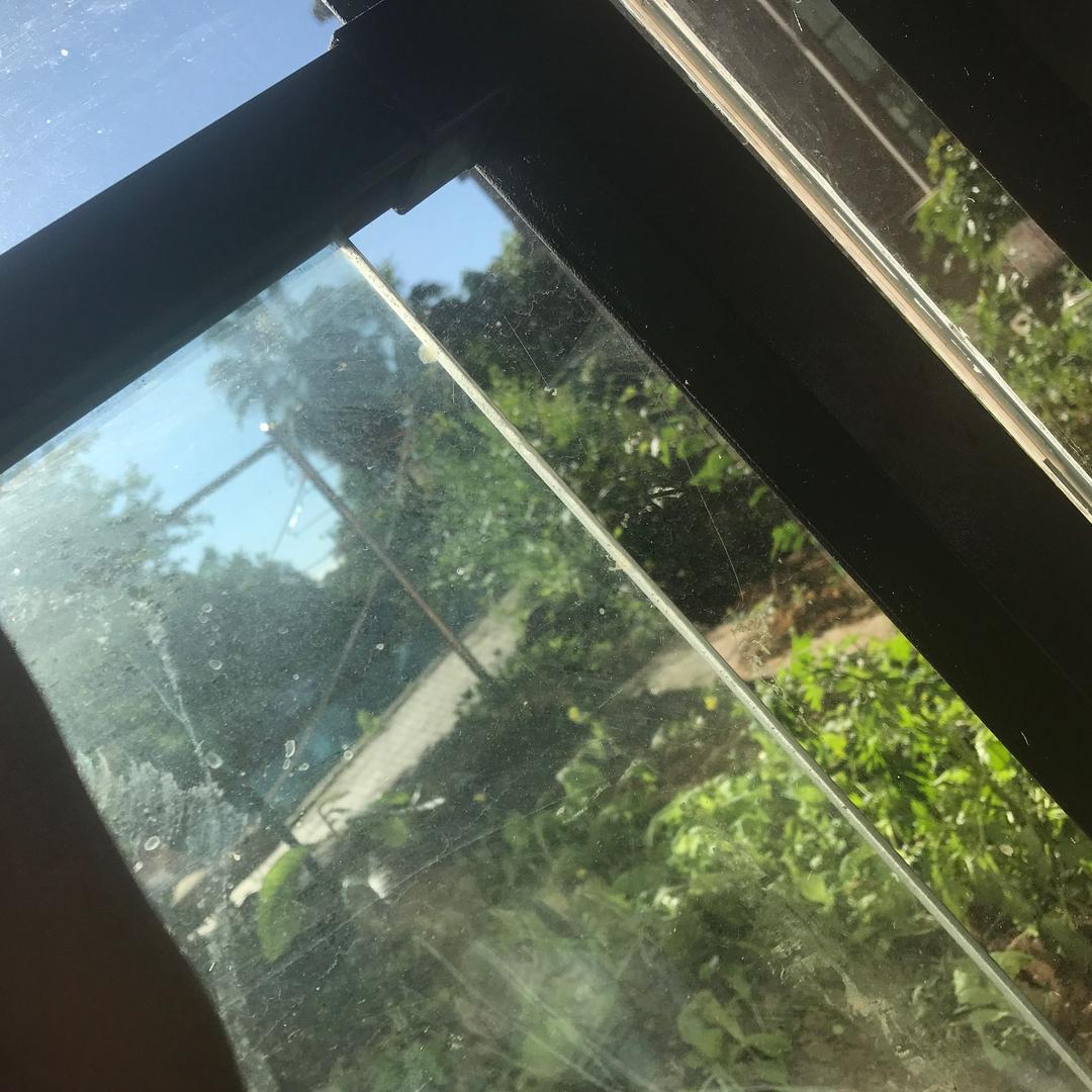 勒沃库森VS法兰克福