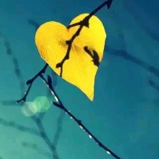 明天的太阳真美