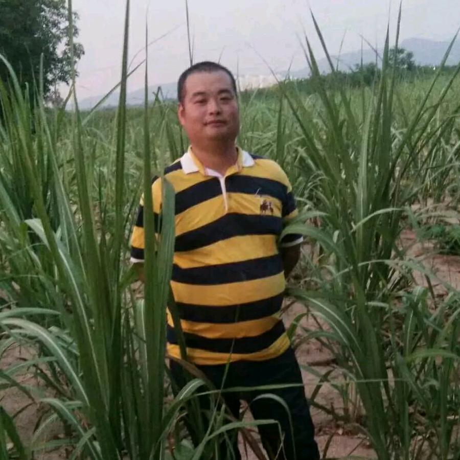 包子哥