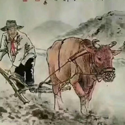 婚姻事业预测