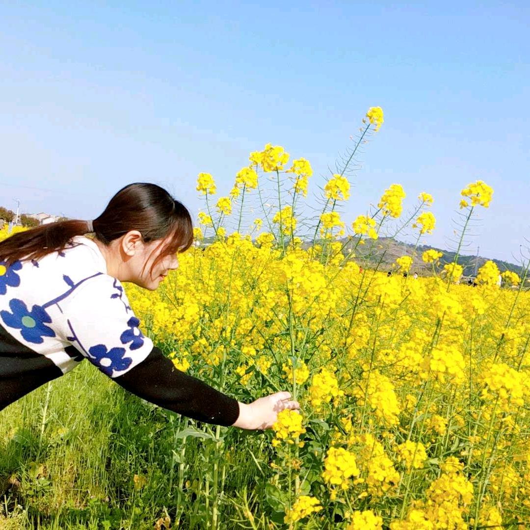 棉花糖