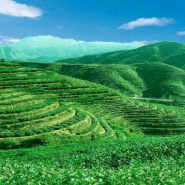 兴发小百货，橱窗有好物