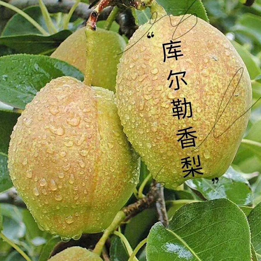 人在途中