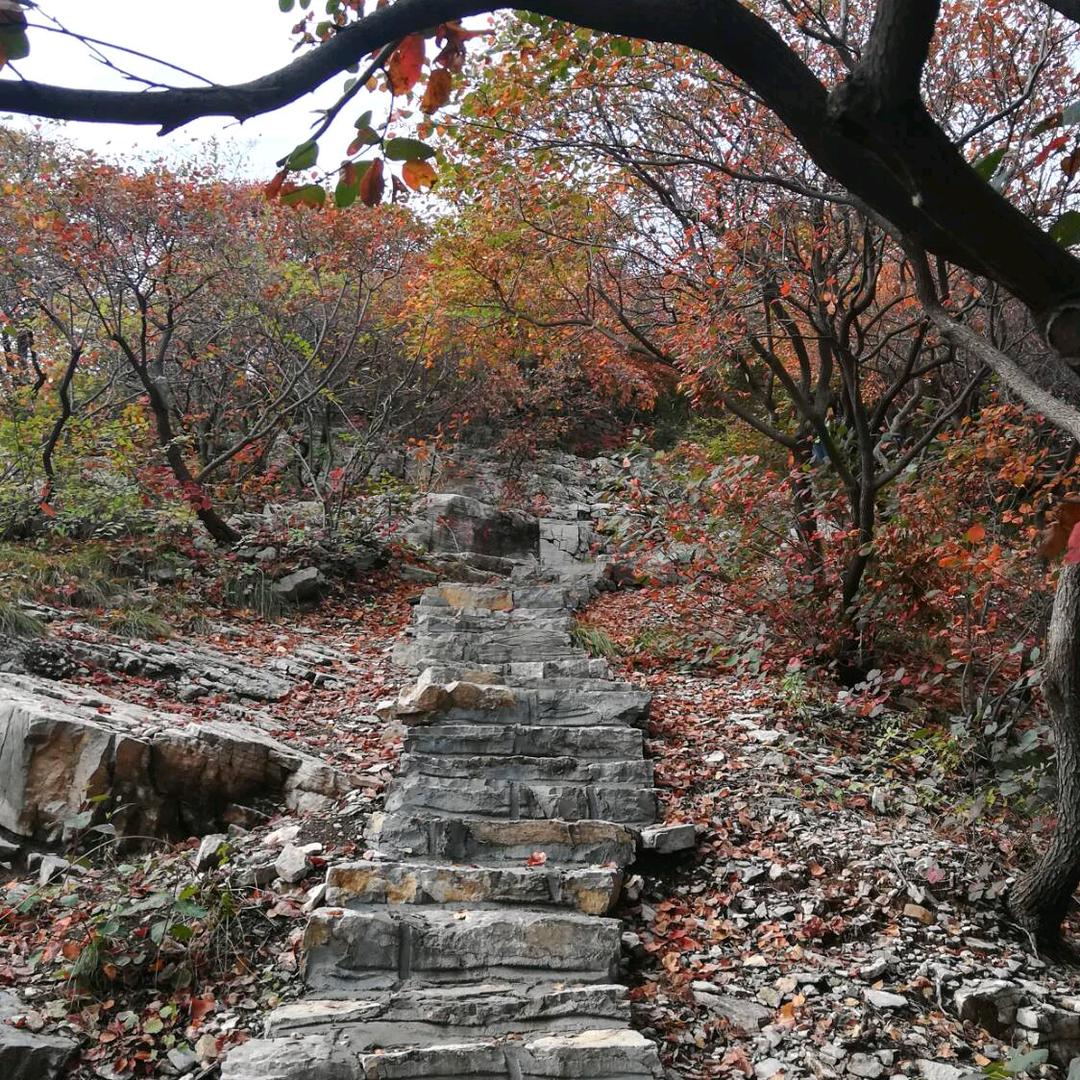 专业拆除废品收购