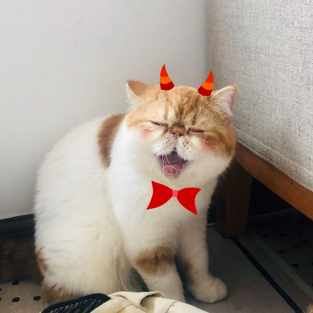 吐泡泡糖吹泡泡