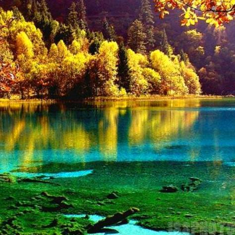 我愿做你最后一个情人