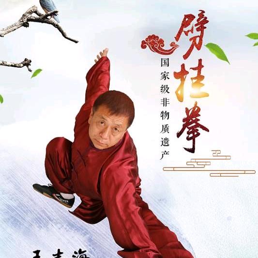 沧州劈挂拳
