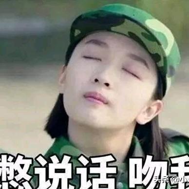 🐉龙猪🐉