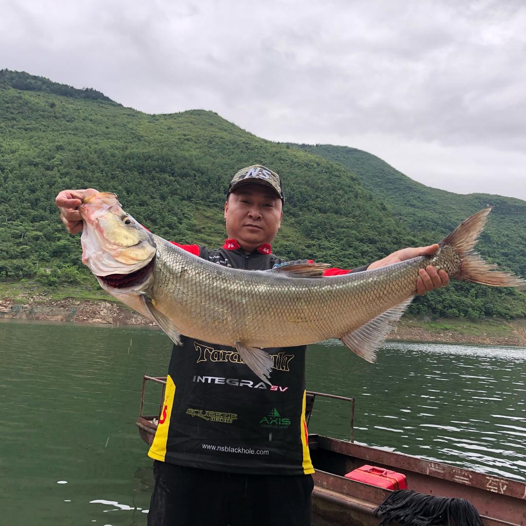 王大鱼🎣🎣