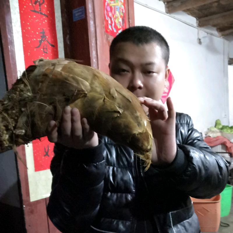 浩哥