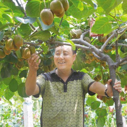 眉县老马