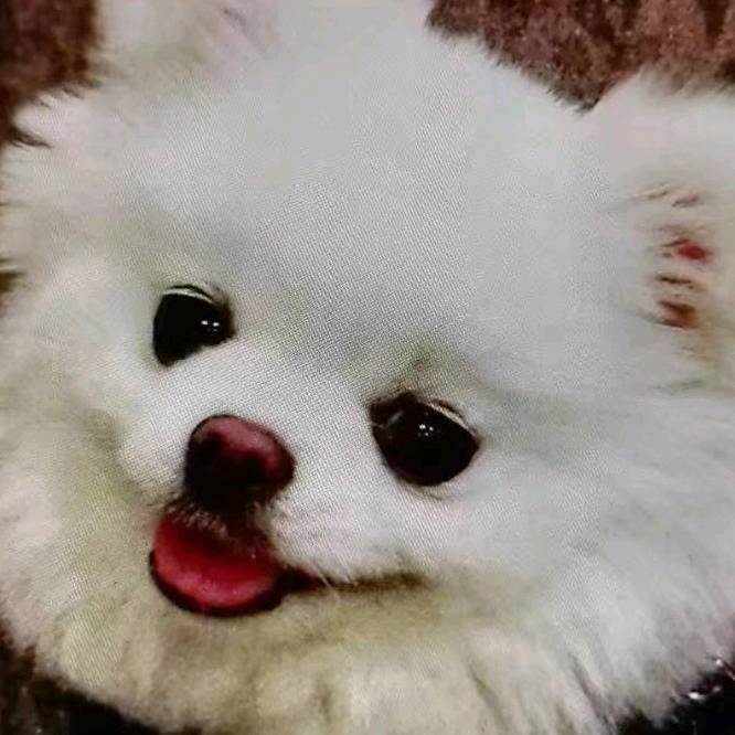 清风
