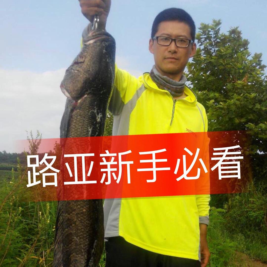 大伟～路亚试钓师