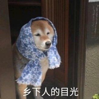 天天都在大秘境