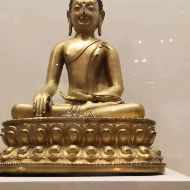 阿利哥