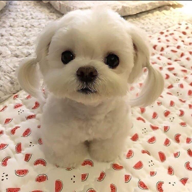 是你