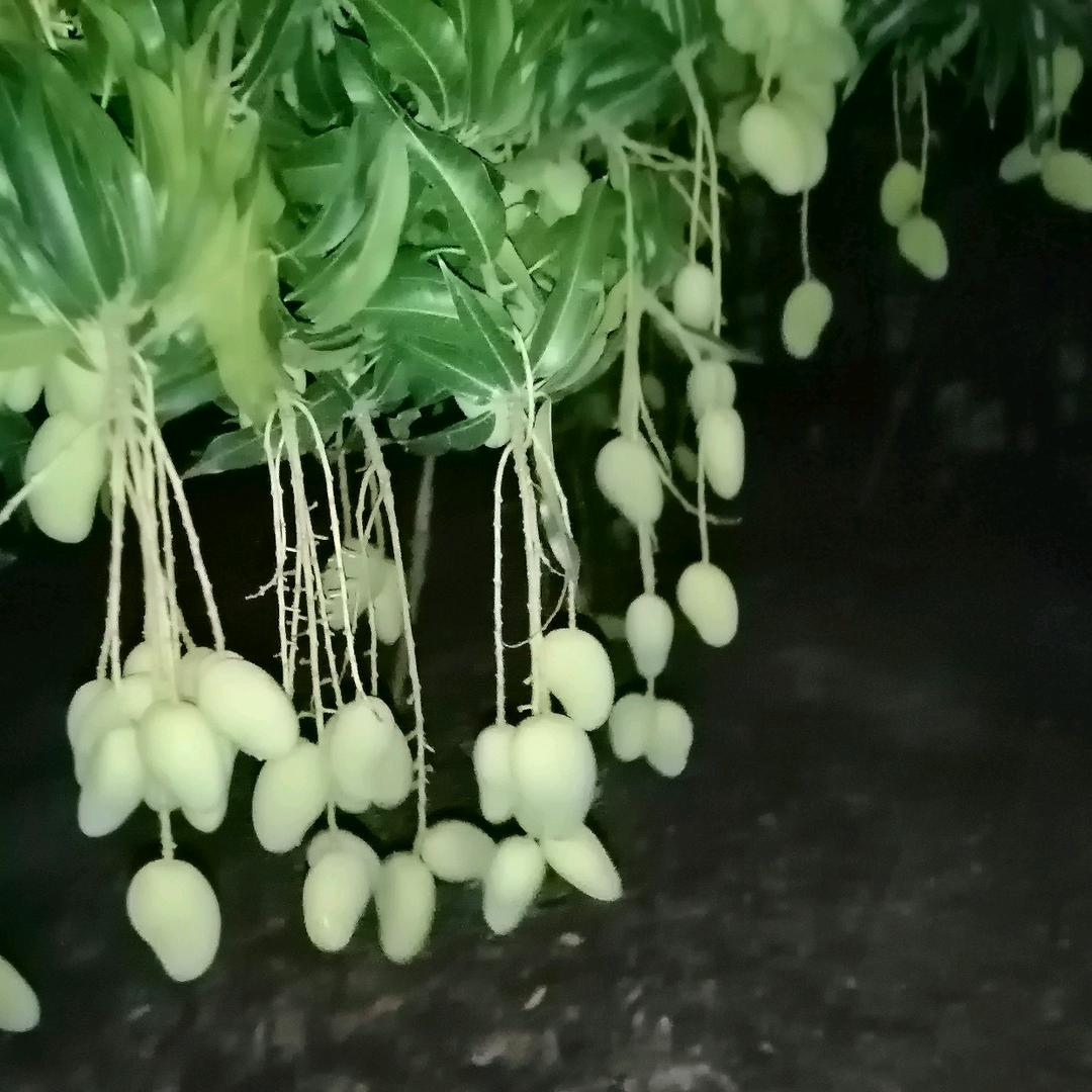 奋斗有益