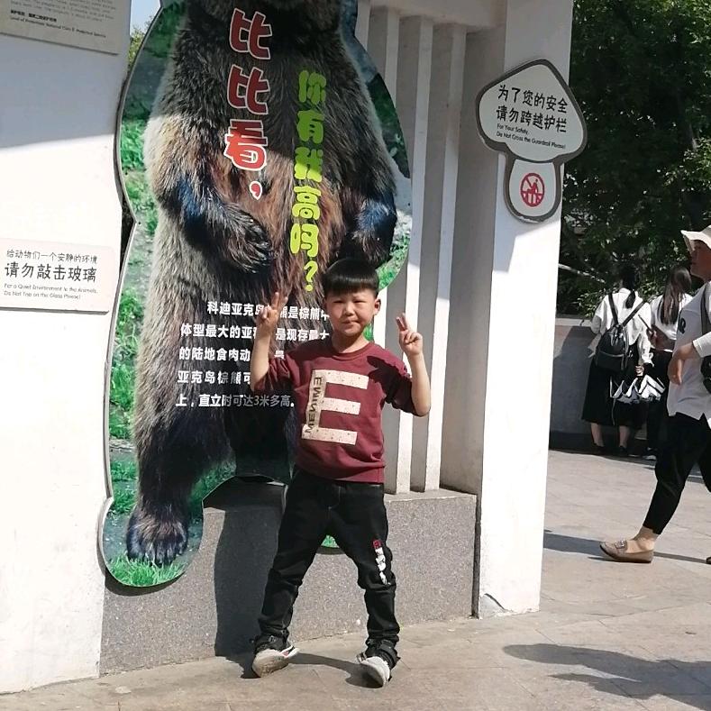 淡忘一切