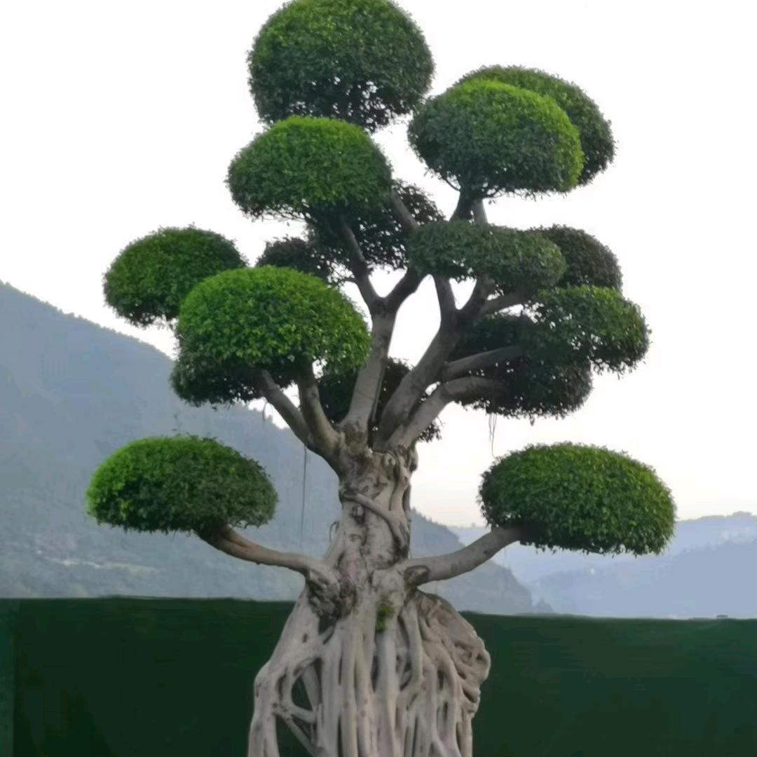 珍惜