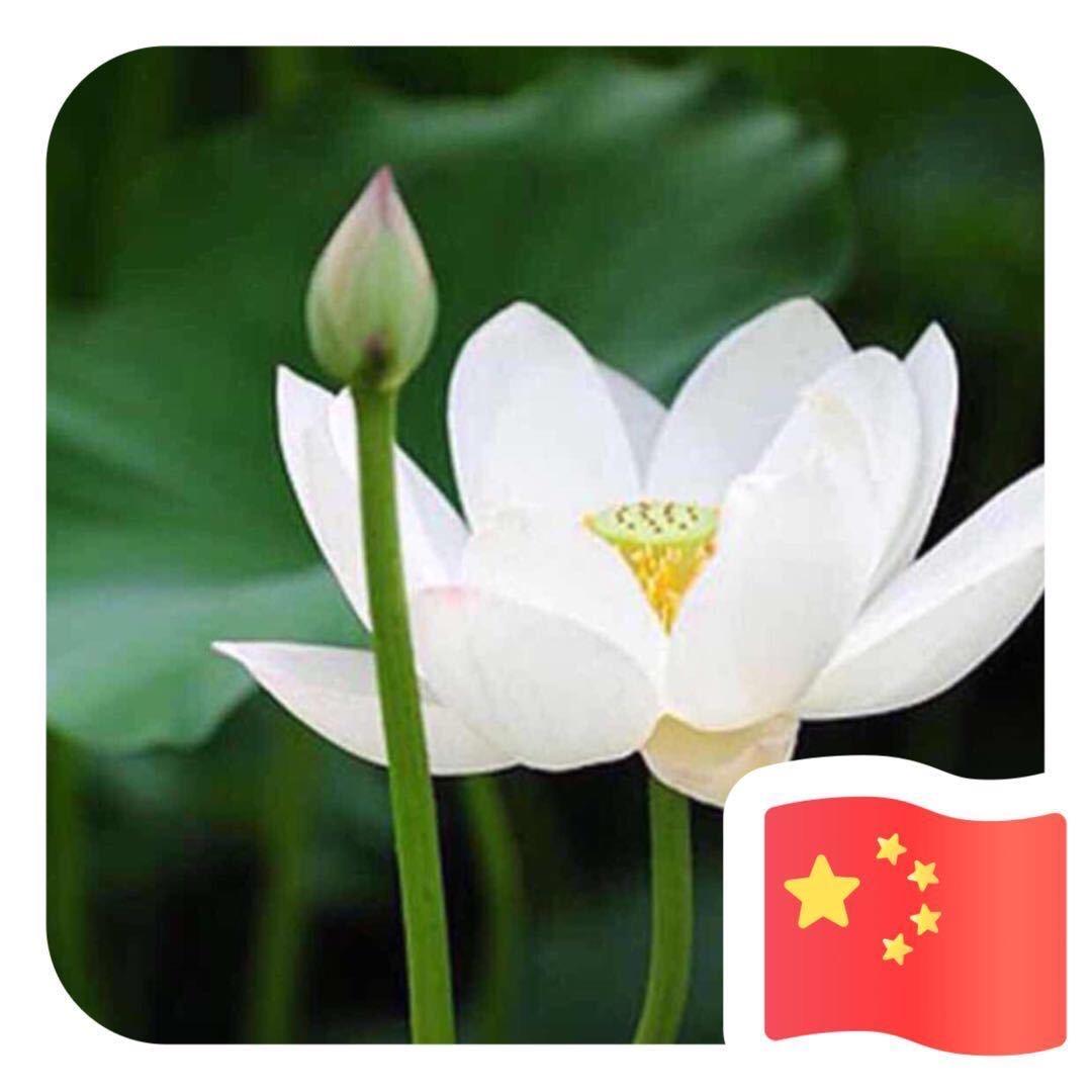 追梦人
