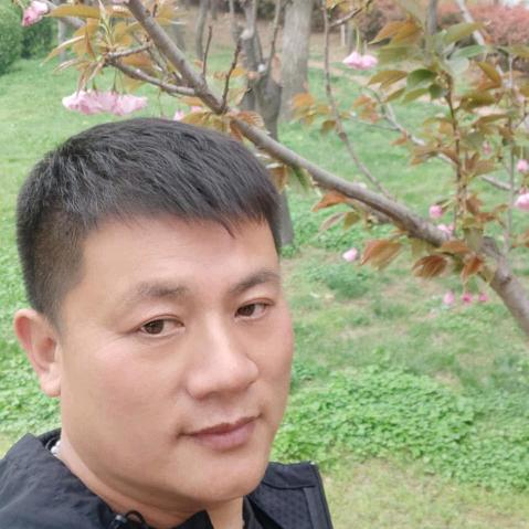 秦老五