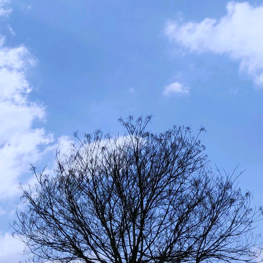 💞小王不听话