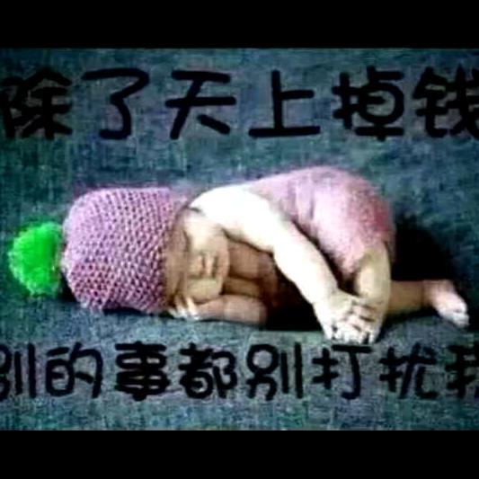 河南小殿下