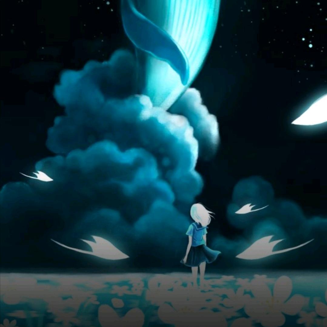 星空的夜晚